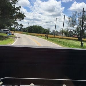 Meet your Posher, Emma